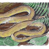タカチホヘビ。以前のペン画に色付けしてみました。