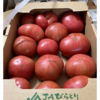 今日いち-2025年5月20日