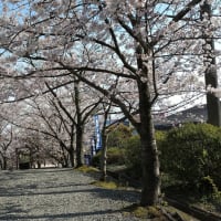 フォーククルセイダースを聴く