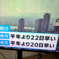 梅雨明けた☀️☀️☀️