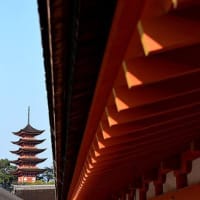 065　悠久の都