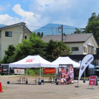 夏の菅平高原　ラグビー　猫とラグビー