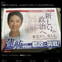 公職選挙法129条違反の蓮舫氏