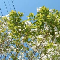 江夏正敏の「闘魂一喝！」 「介護の未来―幸福な時代の到来へ」