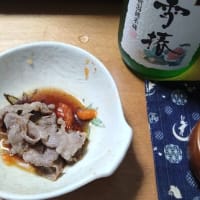 月下美人の第一回目開花2025
