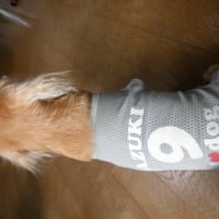 アズキとアロハの服