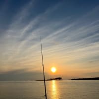 アジング日記②