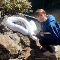 アフターブルべ宇都宮