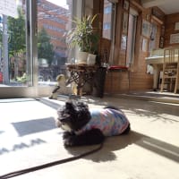 浦島太郎ですかぁ～