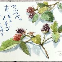 ホットセール - アートトラベルシューズ タマちゃんのスケッチブック 絵画