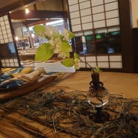 7/7(月)入院4日目〜クロ朝ﾝ歩〜カルガモ親子〜優しい風が吹いたら（小田和正）