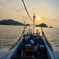 ルアー釣果　7月6日(日)
