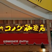 今日は