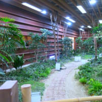 ぶら散歩～横浜ランタンナイト・太陽の広場