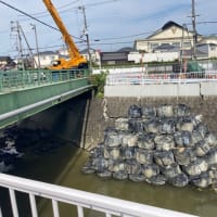 東除川の護岸に亀裂が😱