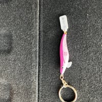 新製品のエギのインプレ