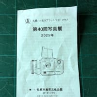 写真展　飛び入りで見てきました。