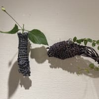 神 芳子 バスケタリー展