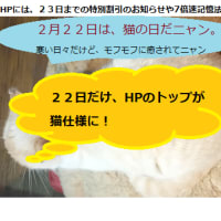 猫の日、２２日だけ、ネコがいるHPに？！ねこに癒されを。
