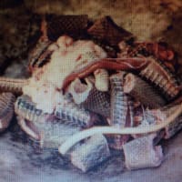 アケオメ