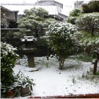この冬一番の冷え込み… 北九州でも大雪の恐れ？！
