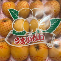 お心遣いをありがとうございます♪
