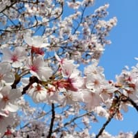 近況をつぶやいてみる。