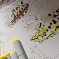 描いては色塗り