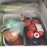 冷蔵庫壊れた、生物製剤が‼