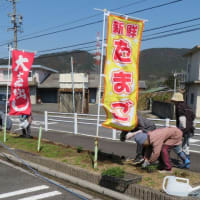 こうづの郷ふれあい市場の花壇がきれいになりました
