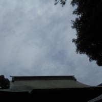 梅雨の晴れ間になるのかな～？ (-＿-)ｳｰﾑ　木の靴ベラを買ってきた＾＾