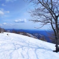 石尾根縦走　鷹ノ巣山