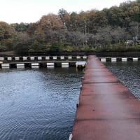 円良田湖 へら釣り 2021.11.17 お凸もでた常管桟橋 暖かくも釣果は激寒でしたｗ