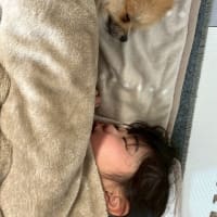 Rちゃんとヒナ