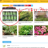 パクリ画像を検証するにはgoogleの類似検索機能を使用 パクり 剽窃は直ちに斬る 問答無用web侍 パクリ画像を検証するにはgoogleの類似検索機能を使用 パクり 剽窃は直ちに斬る 問答無用web侍