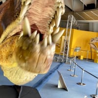 『オダイバ恐竜博覧会2024 ー福井から〝 ヤツラ "  が新幹線でやってくる！ー 』