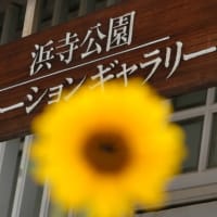 大阪恵美須町から浜寺迄の「阪堺電車」に乗って来ました（2024年11月16日）