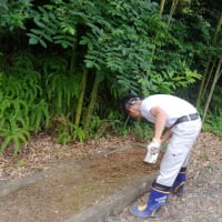 久々の投稿