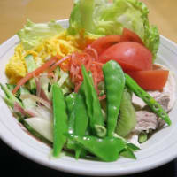 冷やし中華はじめました。