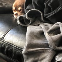 禁煙3日目が長い…