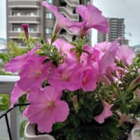 須永博士「すてきな自分」