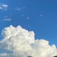 ありのまま