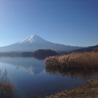 富士山周遊と。。。