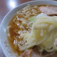 あしかがフラワーパークと佐野ラーメン