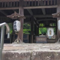 キューリのネット張り　身延山へ