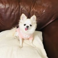 裏庭便ﾘﾘ☆彡