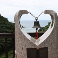 入院治療の前に少しだけ花散策！（ムヨウランと浜野浦の棚田！）