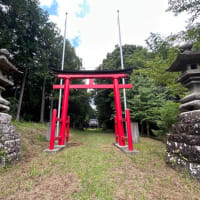 中尾八幡の大杉
