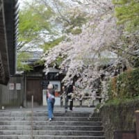 京都・奈良・広島へ　-5　（三千院の小さなお地蔵さん達を探して）　・・・　trip to Kyoto, Nara & Hiroshima -5