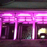 博多の夜を彩る